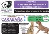 CAMPAÑA DE VACUNACION ANTIRRABICA E IDENTIFICACION 2017